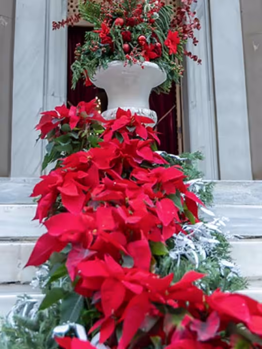 Luxury Baptism Christmas Decoration