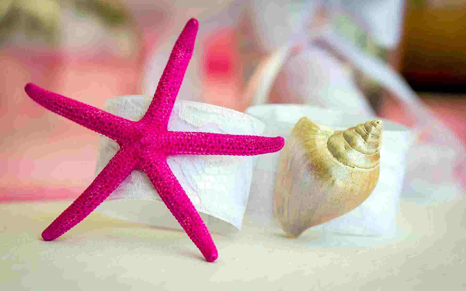 Bonding-Pads-On-The-Sea-Shells-And-Starfish-by-Diamond-Events-christening