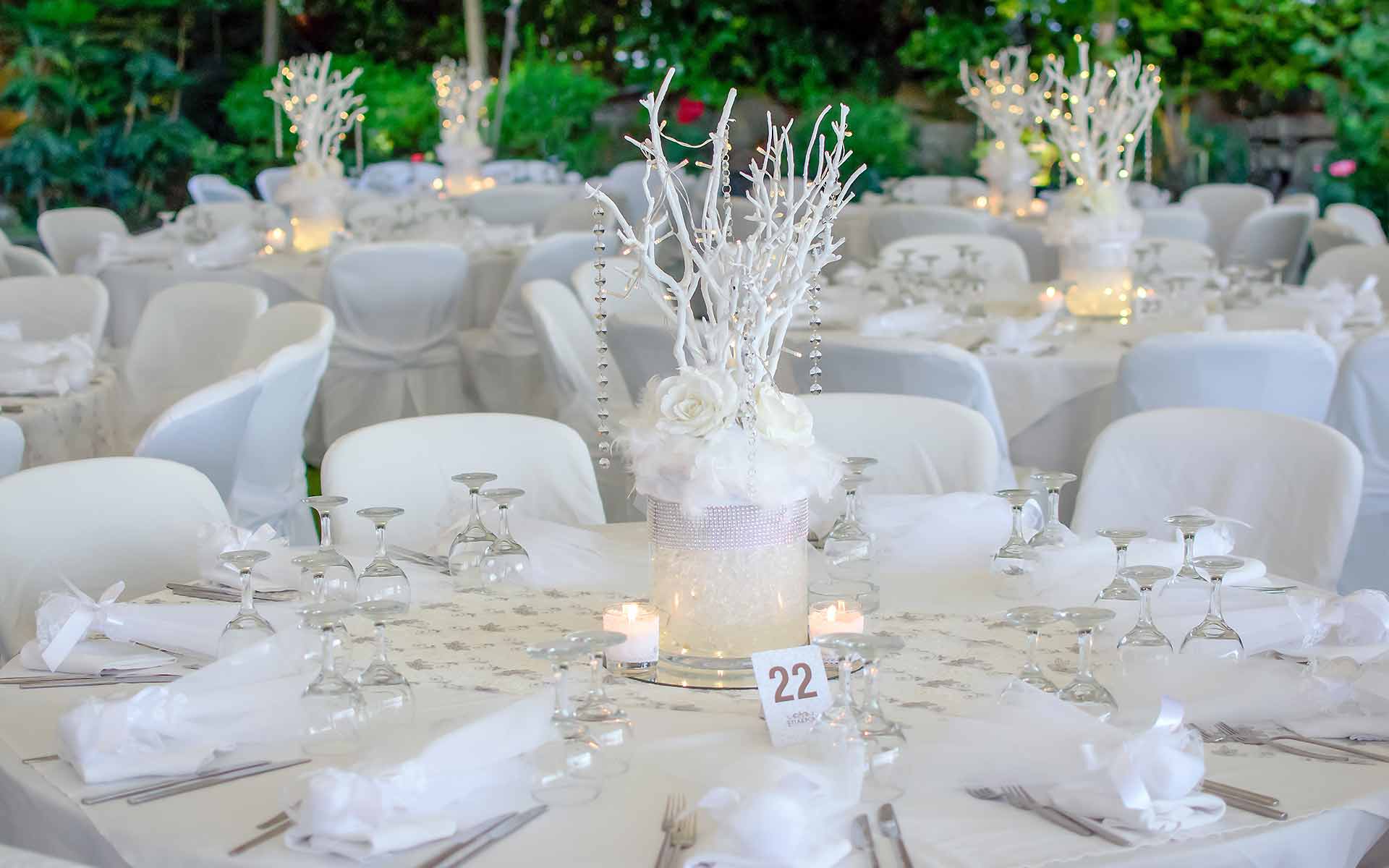 Bonsai trees as table centerpieces is another popular use for them in weddings