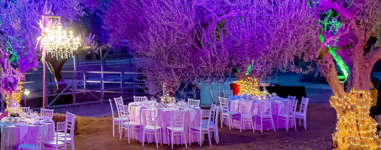 Βάπτιση σε Ιππικό Όμιλο από Rogdaki Events – δείπνο κάτω από φωτισμένα δέντρα και λαμπερές πολυελαίους