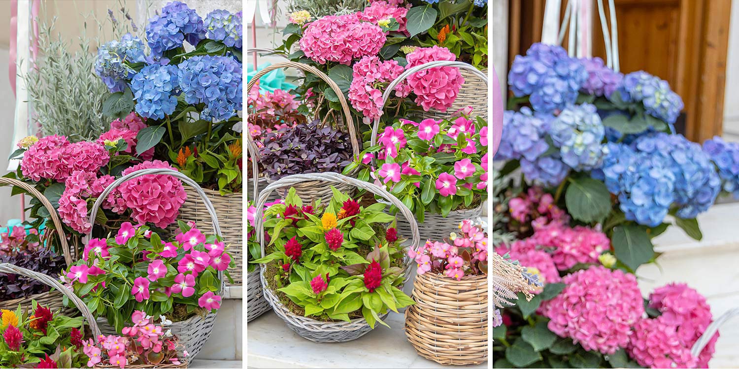 Αγγλική εξοχή | Θεματική Βάπτιση 4 Pride Prejudice inspired Baptism with amazing flower combination by Rogdaki Events 1