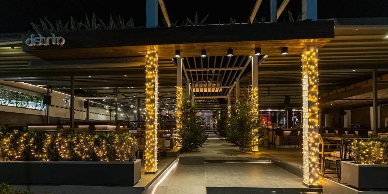 Μαγευτικός Χριστουγεννιάτικος Στολισμός Βάπτισης 21 Rogdaki Events, χριστουγεννιάτικη βάπτιση, Distinto, εξωτερική είσοδος με στολισμένες κολώνες, δέντρα