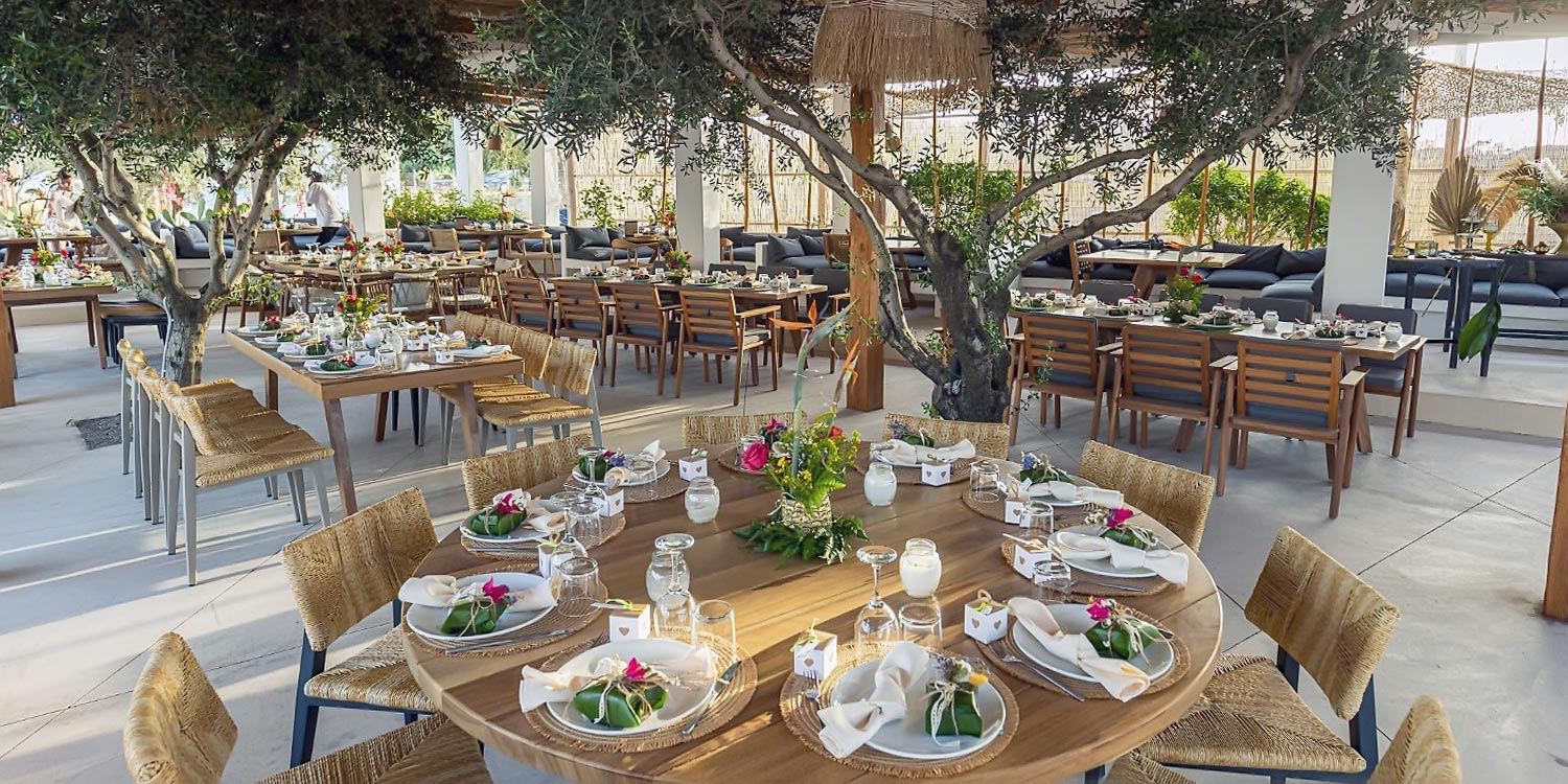 Overview of the reception under the olive trees at ONA by Rogdaki Events