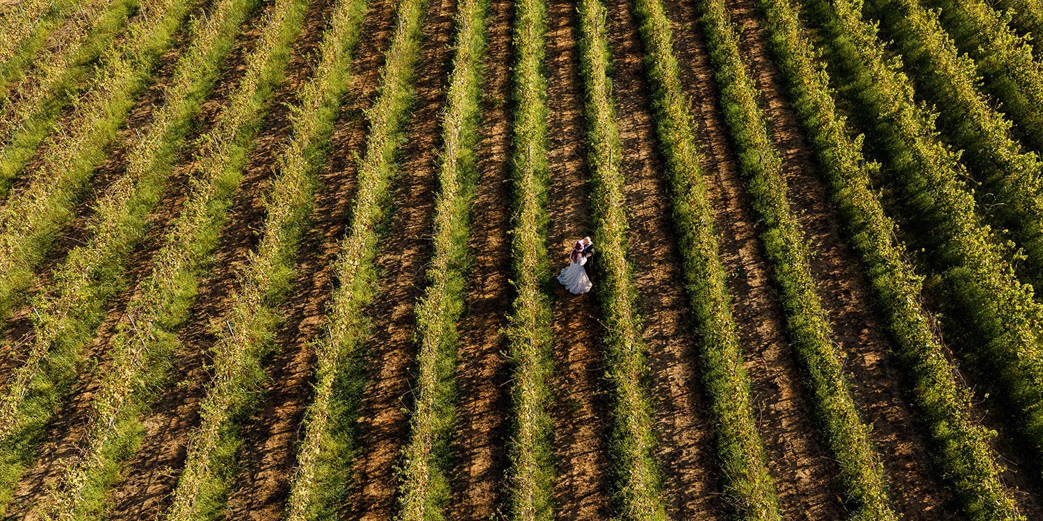A Bridgerton Wedding in Greece 58 Stunning overhead shot of Notis and Polyanna in the heart of the vineyard