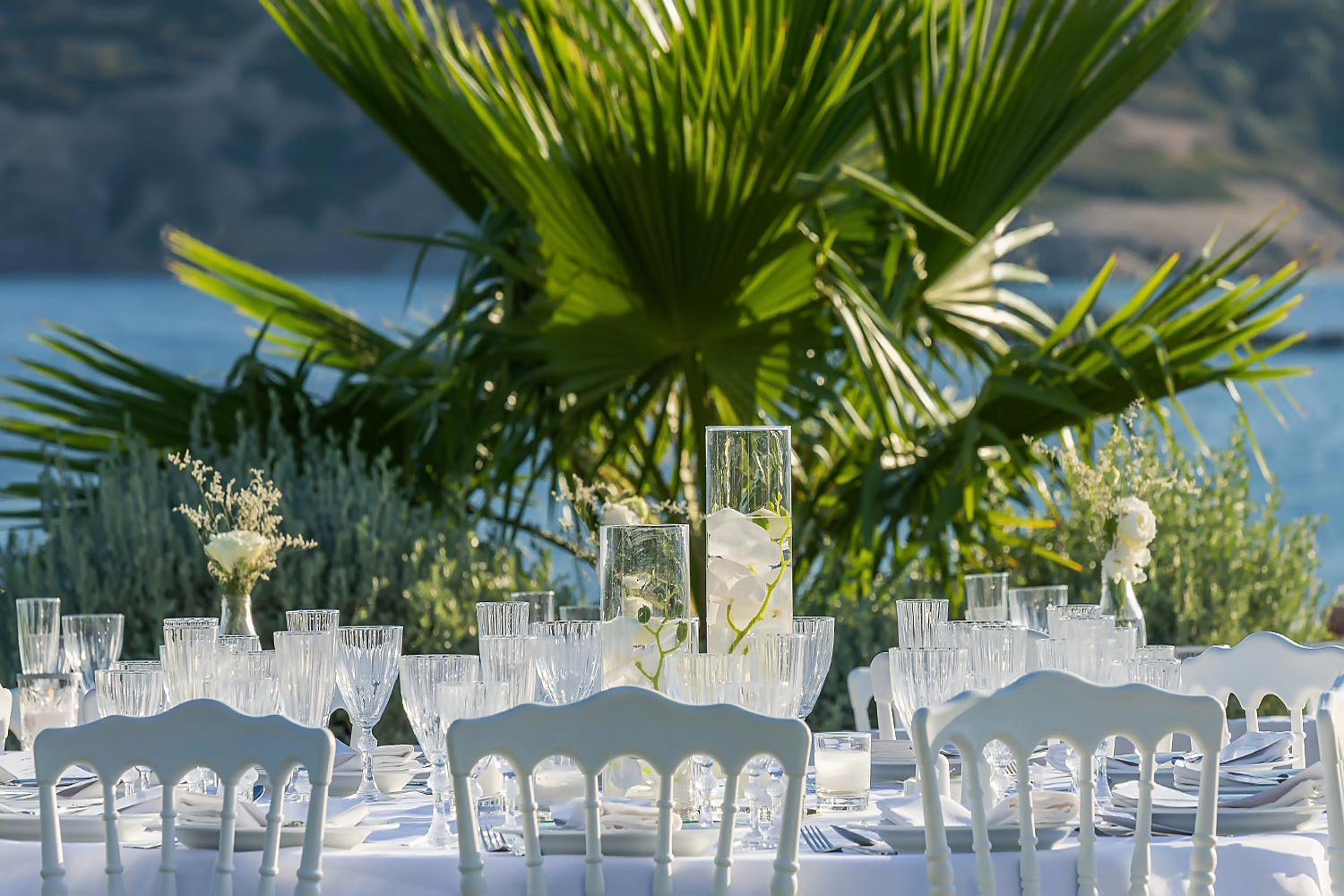 Minimal destination wedding στο Κτήμα 48 24 Μίνιμαλ στολισμός από τη Rogdaki Events στο Κτήμα 48 με γυάλινα βάζα και τροπικά φυτά στη δεξίωση.