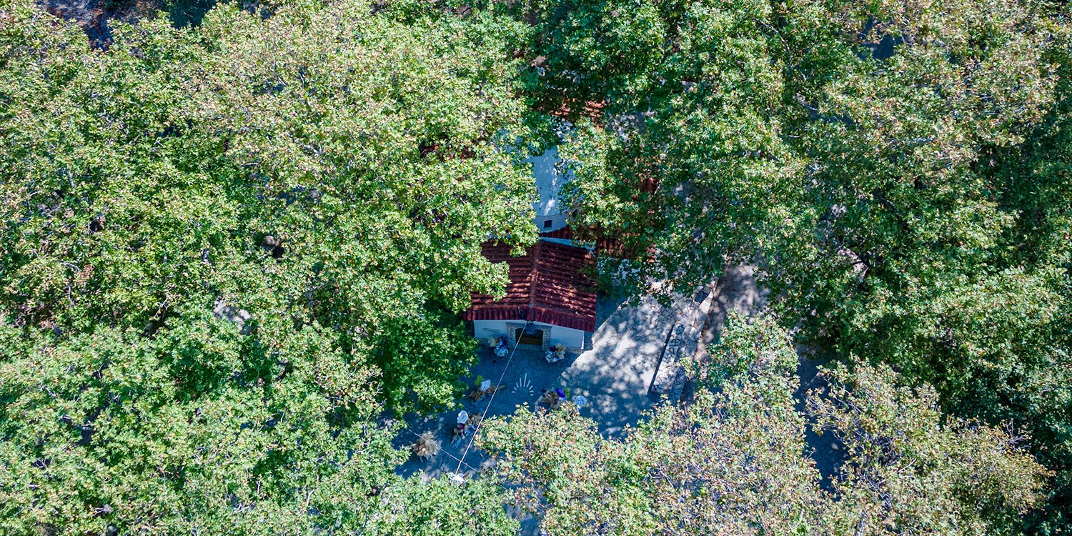 Whimsical Forest Christening with Oversized Floral Decor 1 Aerial view of a unique forest baptism in Greece, designed and organized by Rogdaki Events