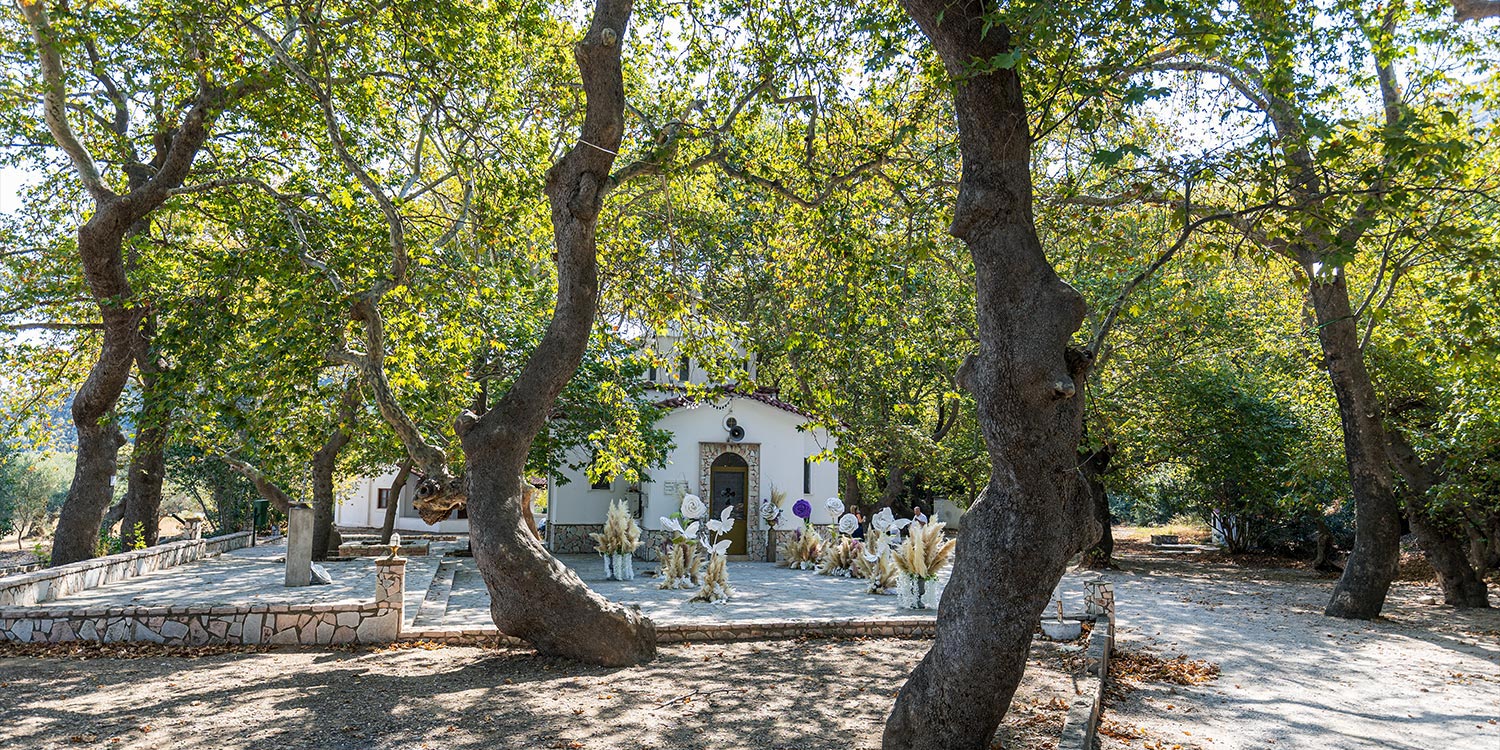Whimsical Forest Christening with Oversized Floral Decor 2 Forest christening under plane trees with giant flowers and pampas grass by Rogdaki Events.